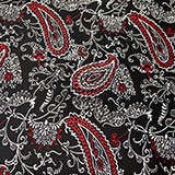 Black and Red Paisley