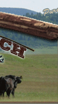 Alberta Ranch Vacation